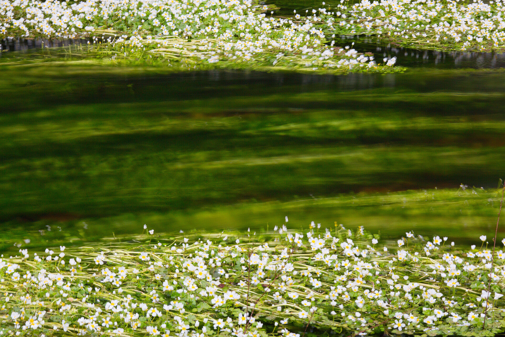 Picocca river. Sardinia. impressions spring